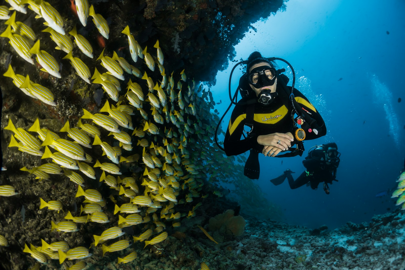 Snorkeller above coral reef