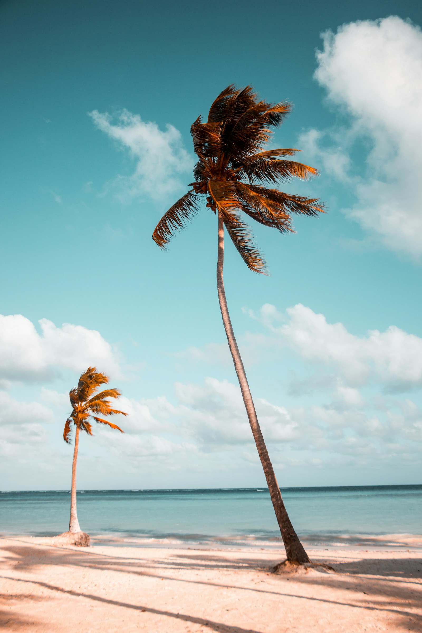 Tropical shoreline village